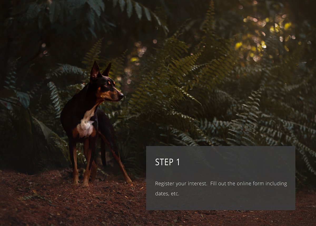 Step 1.jpg