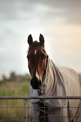 JWP_5137-Edit.jpg